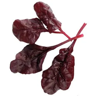 Compra ACELGA FIREBIRD BABY LEAF (50 gr.) en la tienda online Fito Agrícola