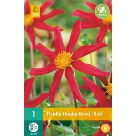 Compra DALIA HONKA RED en la tienda online Fito Agrícola